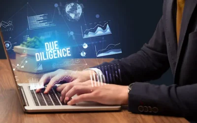 What is Due Diligence  service?